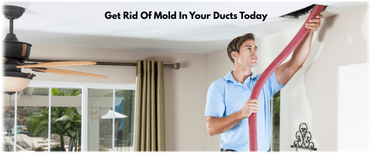 Air Duct Mold Removal in Tempe