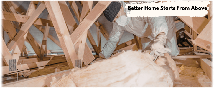 Attic Cleaning Tempe
