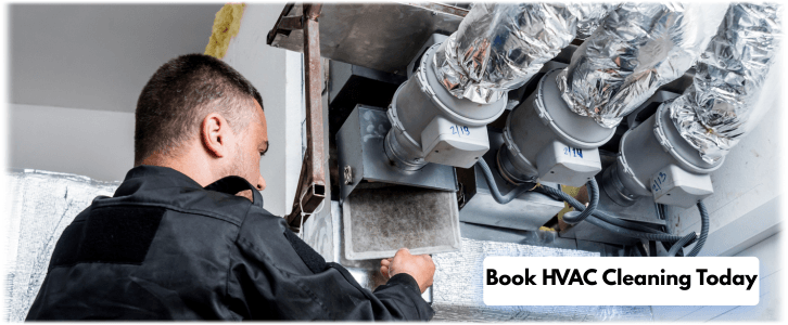 HVAC Mold Removal Tempe